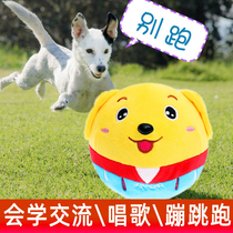 Electric pet toys will sing and dance to tease Teddy puppies golden hairy dog to solve boredom entertainment puppies supplies jumping ball