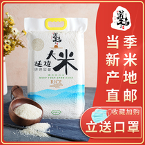 Jilin Yanbian new rice 5kg 10 jin pearl germ rice