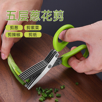 Stainless steel chonion-cut vegetable theorizer multifunction shallot cut shallot thever cut kitchen Home cheeseer
