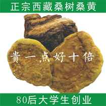 Mulberry and Mulberry yellow wild Super 100g pure natural Tibetan Phnom Penh can be sliced wild Ganoderma lucidum pruning