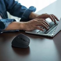 Japan SANWA mountain industry wireless mouse Bluetooth mouse usb computer office home game upright grip notebook desktop mouse male and female hand grip vertical