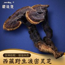 Tibetan Dikang Ganoderma lucidum Tibetan wild Ganoderma lucidum authentic special grade Phnom Penh special non-Mulberry sliced Ganoderma lucidum powder 250g
