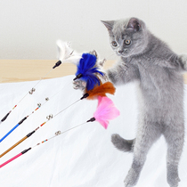Bochy net pet cat toy Tian Tian cat classic feather flower steel screw tease stick Interactive cat toy