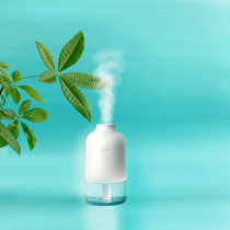 Phantom Humidifier Large Spray Car Car Air Small Atomization Silent Aromatic Vessator usb Water Supplementation Mini Portable Humidifier