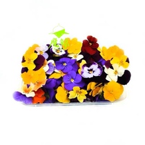 Fresh Pansy fresh decoration plate Flower Western restaurant hotel clubhouse dotted with flowers and plants