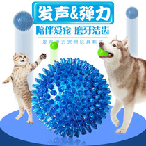 Dog toys with prickly pinball to break down molars bite-resistant dog toys Teddy golden retriever Big Dog vocal pet toys