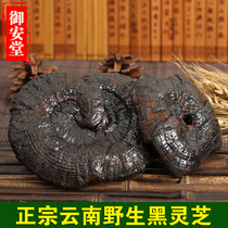 Yunnan wild black ganoderma wild purple ganoderma natural whole ganoderma cut ganoderma slices 250g