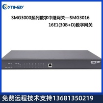 Triple Voice Gateway All Netcom Digital Relay Gateway SMG3008-8E1 Support 30B D PRI SS7