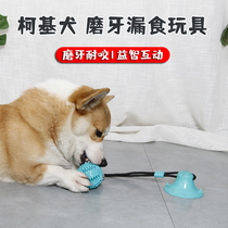 Pooch sucker pull ball leaky ball Kokie Toys small puppies Grinders Grinders Resistant to Divine Instrumental Pets
