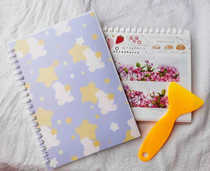 Portable loose-leaf account paper paper a5 tape collection book hand account sticker material picture book double-sided