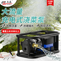 Rechargeable portable watering water pump large flow DC electric vegetable washing pump multifunctional water pump household