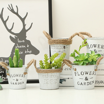 Pastoral old iron fleshy flowerpot creative simple wrought iron green plant hemp rope flower pot desktop decoration storage bucket