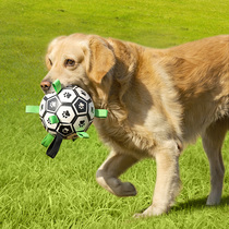Pooch toy ball gold wool side Shepherd dogs special football resistant to bite interaction since hi dog leather ball pet supplies