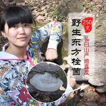 Wild Oriental Bolting Fungus Oriental Yunzhi 250g Changbai Mountain Lucid Lucid fungi Fungus Cuts of New Cargo Northeast China Wild