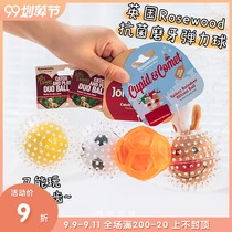 British Rosewood pet dog high quality rubber molars bite resistant toy elastic ball clean mouth