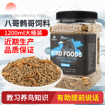 Pet Shangtian starling feed Bird feed Wren feed Fine special nutrition fat hair change bird food Bird food Bird feed Bird feed Bird feed Bird feed Bird feed Bird feed Bird feed Bird feed Bird feed Bird feed Bird feed Bird feed Bird feed Bird feed Bird feed