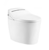 Dongpeng integrated bathroom intelligent toilet washing treasure 8121