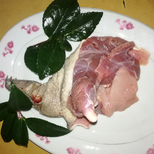 鳄鱼龟腿肉现宰杀龟爪肉鲜活鳄龟肉乌龟肉滋补龟肉场自产自制养生