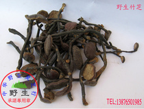 Pure wild Ganoderma lucidum (tropical deep mountain bamboo Ganoderma lucidum) wild promise Shipped from Wuzhishan