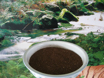 Changbai Mountain wild Ganoderma lucidum Brown hole plaque brown powder pure natural traditional tonic 100g