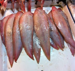 海鲜鲜活鳎米舌头鱼 踏板鱼鲜活 鱼龙利鱼海产品