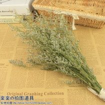 Dried flower lover grass ornaments simulation flower props Flower Shop photo shoot photography props take photo
