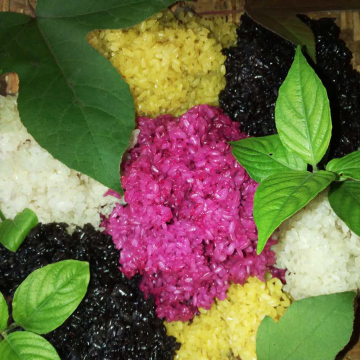 贵州特产布依族五彩糯米饭天然植物染色五色花米饭500g