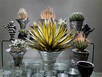 Lin Junjie Kimura Takuya same type Masses mm 2 generation agave metal aluminum flower pot handmade