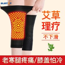 Wormwood short knee cover sheath warm old cold leg hot compress joint cold male Lady self-heating paint