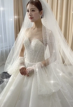 手袖头纱高档钉珠钻新娘结婚纱白色婚礼遮挡手臂长款拖尾头纱
