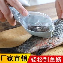 刮鱼鳞器家用杀鱼工具手动打去鱼鳞刨刷子厨房不锈钢刷刮鳞刀神器