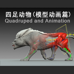 maya动画 四足动物模型与动画教程 风磨石原创视频