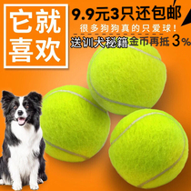 Dog toy ball golden retriever teddy elastic ball grinding teeth resistant tennis pet puppy labrador puppy training