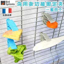 Bird system bird multi-function fixing clip parrot supplies snack fruit fork cuttlefish bone vegetable clip small clip