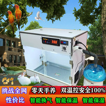 Parrot incubator intelligent constant temperature moisturizing air warm zero 0 days hand raising large double temperature control Phoenix peony young bird