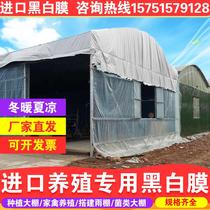 Breeding greenhouse black and white heat insulation film Cooling reflective metallocene heat insulation Edible fungus black and white film Anti-aging waterproof