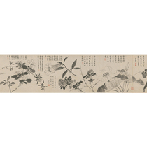 Ancient famous paintings Zhou Zhimena Hundred Flowers Chinese paintings flower and bird paintings long scroll art micro-spray decorative paintings