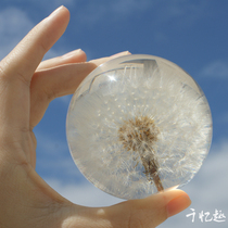 Dandelion specimen resin crystal ball plant ornaments dripping glue finished product Yongsheng flower paperweight music box night light