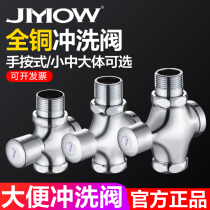 Household stool Flushing Valve toilet valve all copper delayed press type full copper body Flushing Valve urinal squat toilet