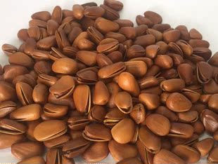 东北红松籽油炸开口松子坚果年货500g包邮