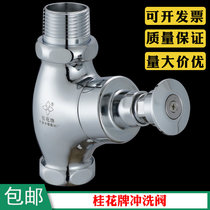 Osmanthus brand copper hand press delay self-closing oblique stool flush valve squat toilet flush valve hand press wash valve