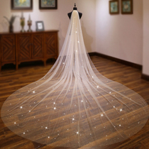 香槟色长款大拖尾新娘结婚头纱抖音同款闪闪大头纱网红拍照头纱