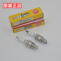 Applicable to Gwangyang motorcycle Fengli 125 Lili LIKE180 Ai Qili Shu running Jinli 110 original spark plug