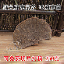 Wild honeycomb Ganoderma lucidum hairy honeycomb fungus gastrointestinal immunity wild original ecology 250g
