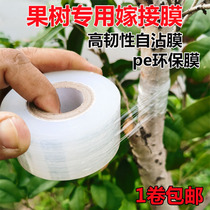 Grafting film special film PE no need to tie film grafting binding Belt fruit tree seedling packing self-mucosa