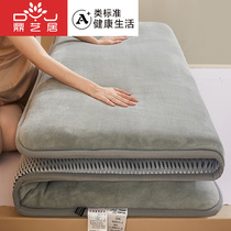 2021 New wool milk velvet mattress upholstered household cushion student dormitory single sponge cushion quilt