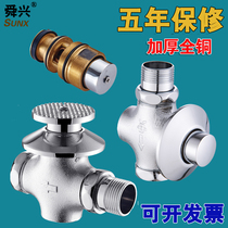 All-copper foot-type stool concealed flush valve valve core toilet hand-pressed delay valve squat toilet flush valve accessories