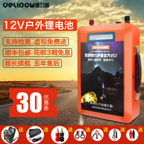 Delip 12V lithium battery large-capacity high-power outdoor mobile power charger lithium iron phosphate 24 volt battery
