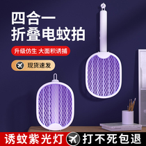 Mosquito Repellent Interiors Mosquito-mosquito-mosquito-mosquito-mosquito-mosquito-mosquito-mosquito-mosquito-mosquito-mosquito-mosquito-mosquito-mosquito-mosquito-mosquito-mosquito-mosquito-XX_ENCODE_CASE_CAPS_LOCK_Off