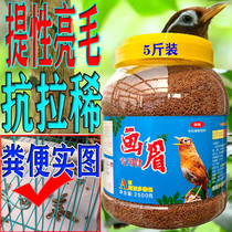 Thrush bird food fat singing bird fighting bird bird food feed bright hair disease-resistant never ratty thrush bird special